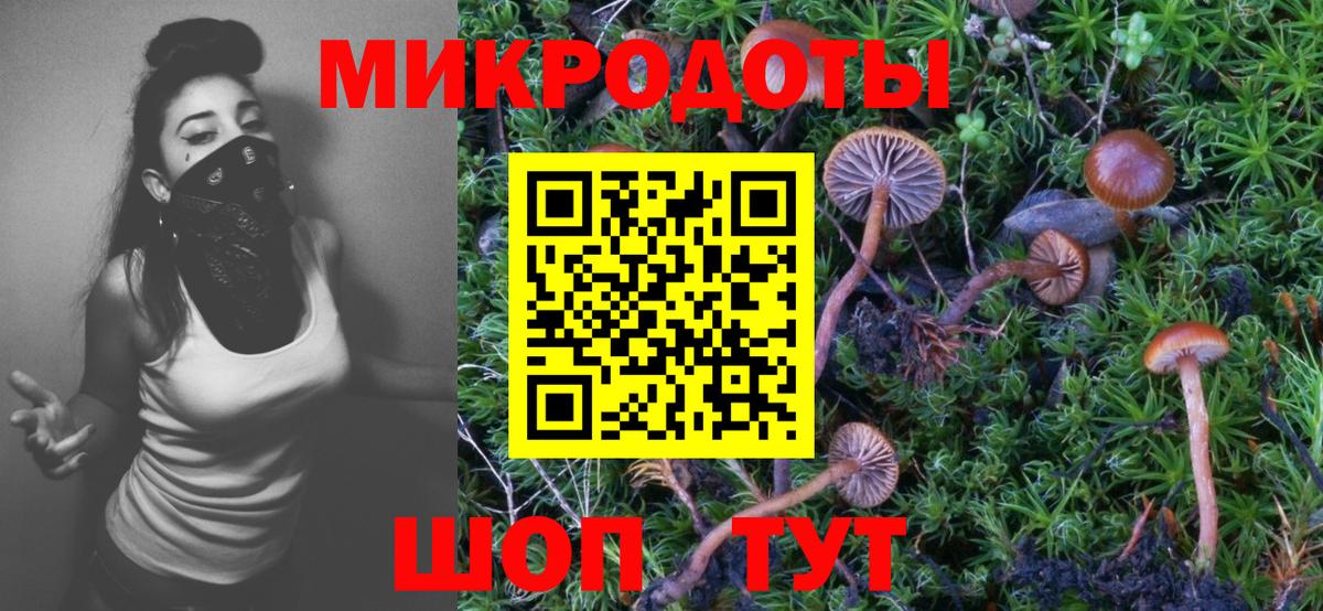 Псилоцибиновые грибы Psilocybe Ступино
